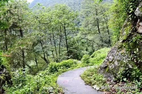 探索zhengzhong看拼音写词语世界,畅聊红迪社区